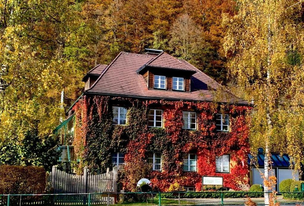 Gaestehaus Grogger Weyer Markt Εξωτερικό φωτογραφία
