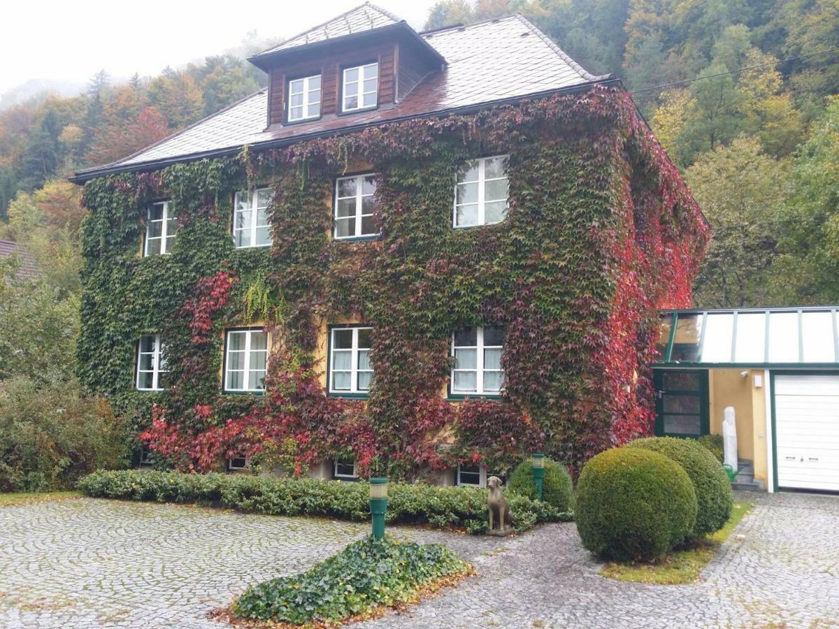 Gaestehaus Grogger Weyer Markt Εξωτερικό φωτογραφία
