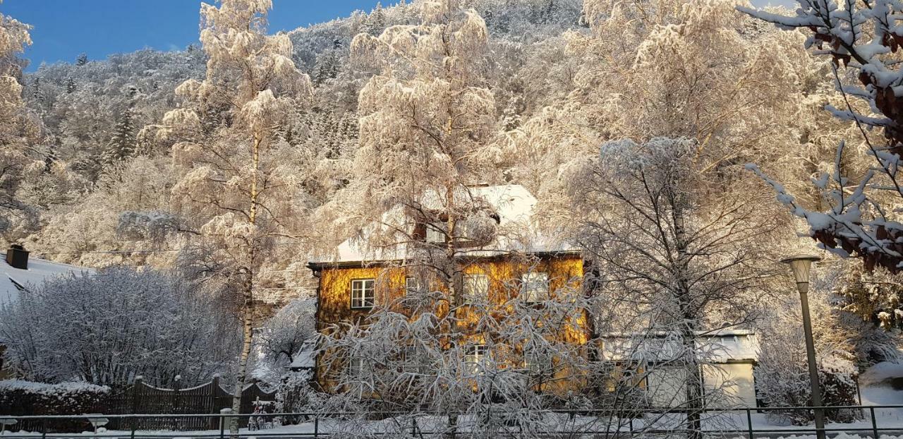 Gaestehaus Grogger Weyer Markt Εξωτερικό φωτογραφία
